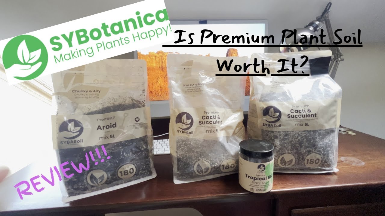 Sybotanica Soil Review After 1 Month – Is Premium Plant Soil Worth It?