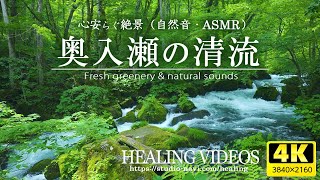 [Healing/Environmental Sound] Japanese Mountain Stream | Oirase Mountain Stream VOL.1 | by 癒しの映像館 30,964 views 1 month ago 3 hours, 12 minutes