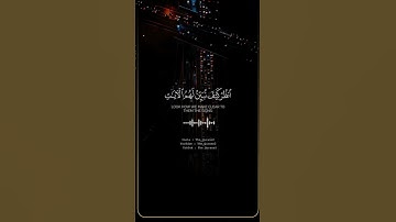 #القرآن_الكريم القارئ احمد النفيس #سورة_المائدة #تلاوة_خاشعة #حالات_واتس #اكسبلور #لايك #راحة_نفسية