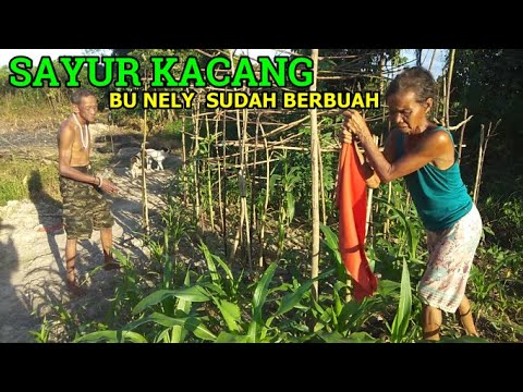 Video: Kacang Roti Dengan Sayur-sayuran