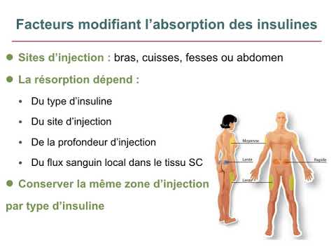 Vidéo: Existe-t-il différentes insulines ?