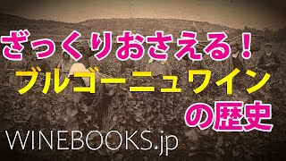 ブルゴーニュワインの歴史｜ざっくりと全体像を解説