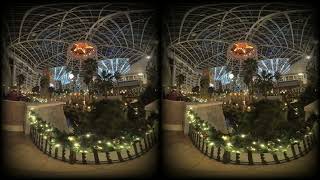 gaylord lights in vr180