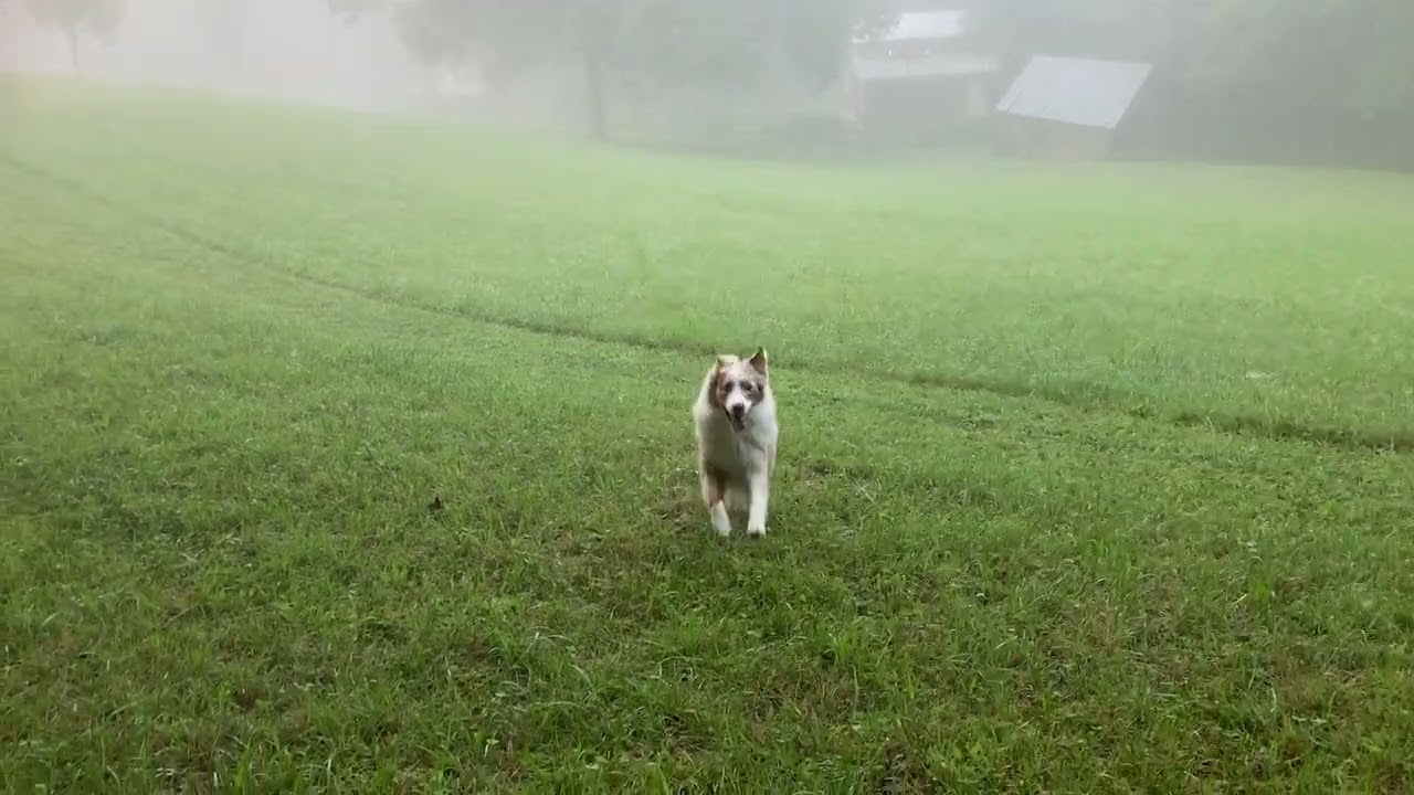 Example of a Rocket Recall