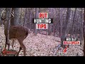 Early November Whitetail Hunting Strategy - Hunting The Rut