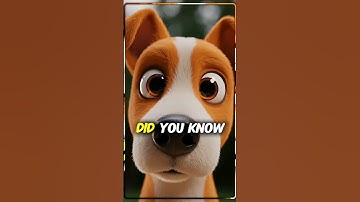 Did You Know? Every Dog Has a Unique Nose Print 🐶 | Cartoon Animal Facts #ytshorts