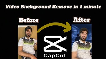 How To Remove Background Of A Video | Capcut Background Removal Tutorial
