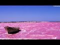نهر السنغال الوردي