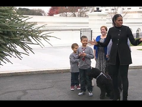Michelle Obama and nephews welcome White House Christmas tree  Latest News