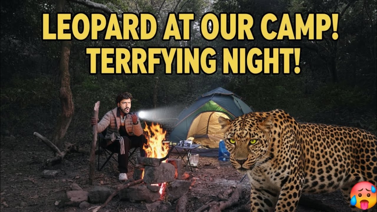 Leopard Visit our Night camping | Camping in near leapard house | Camping in Uttarakhand |