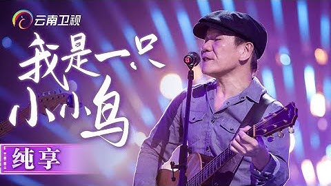 【纯享】永远的歌王赵传，《我是一只小小鸟》唱进心坎里，不愧是华语乐坛老将【中国情歌汇】