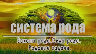 Видео систем рода. Законы рода. Сила рода. Доступ к силе рода. Родовые задачи. (автор: Наталья Жукова Karma Pro)