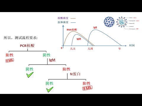 两分钟看明白新冠疫情期间回国测试要求 - Covid归国检测，冠状病毒，核酸，抗体，IgM，IgG，N蛋白，S蛋白，登机，绿码。