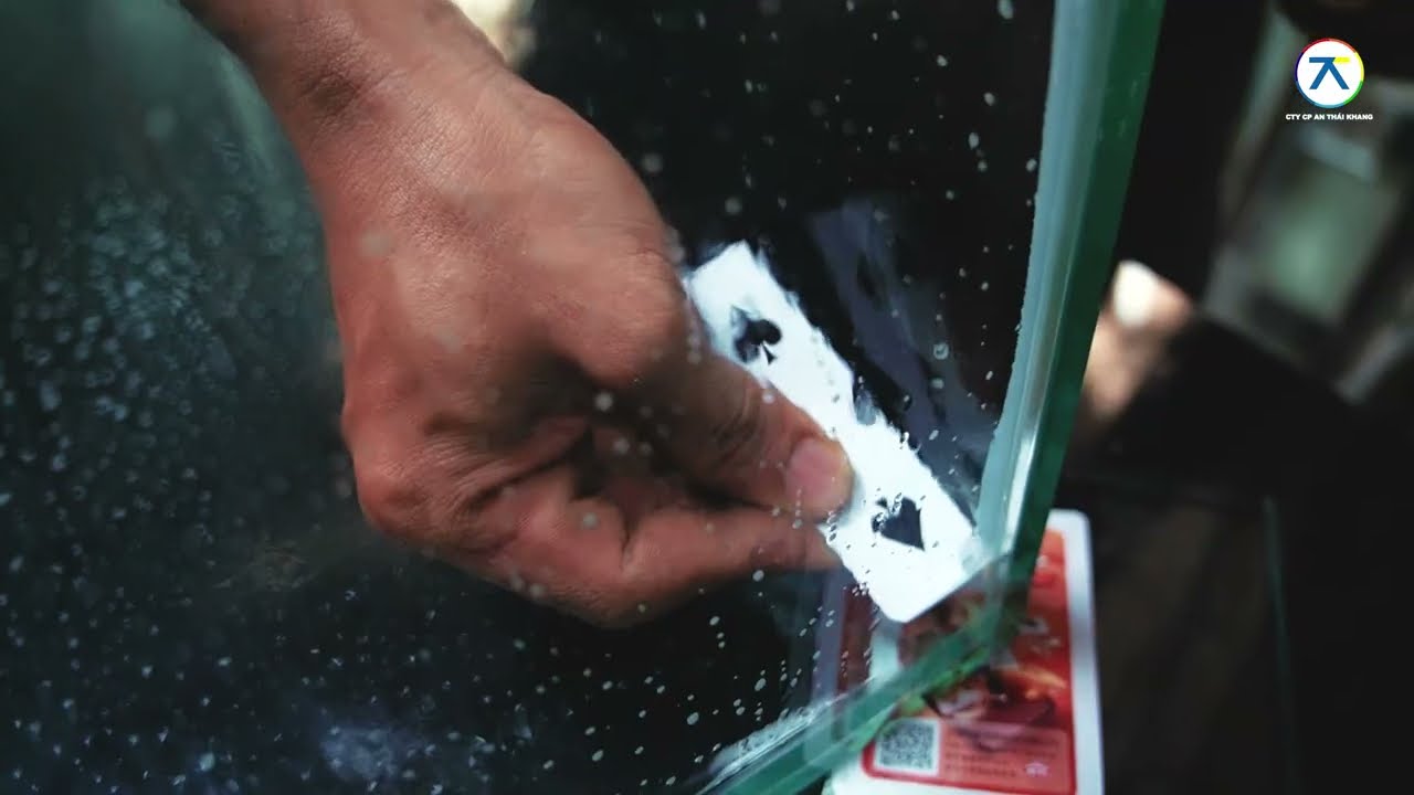 DIY - DÙNG WACKER 121 DÁN HỒ CÁ