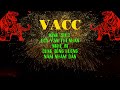 VACC MEDIA - HAPPY NEW YEAR    NHÂM DẦN 2022
