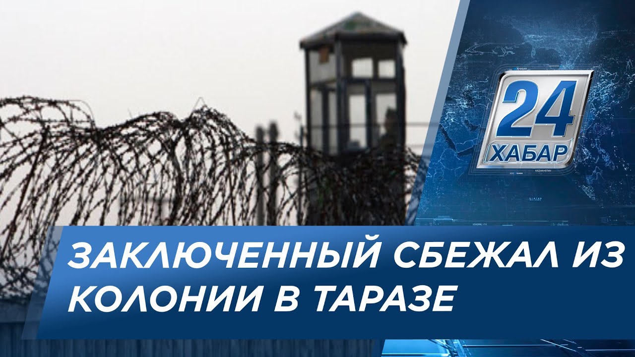 Нива в таразе