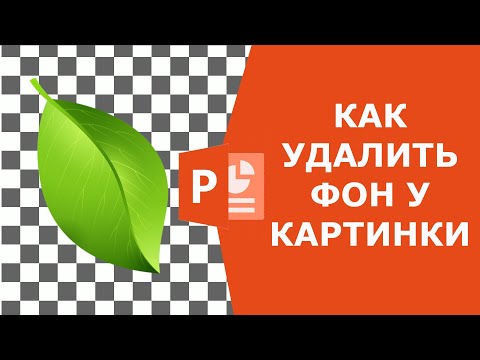 Как удалить фон у картинки в PowerPoint