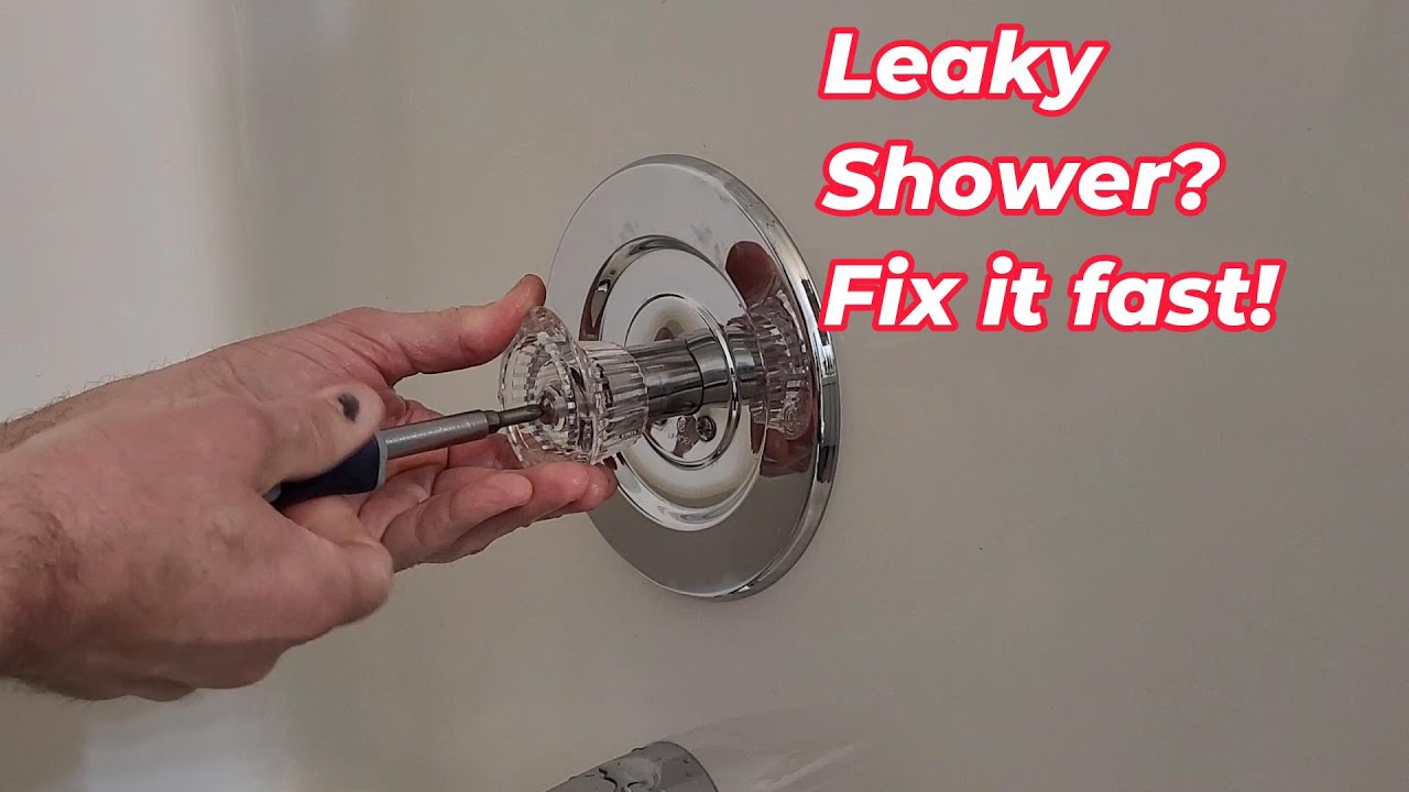 Moen 1225 Cartridge Replacement – Stop That Drip!