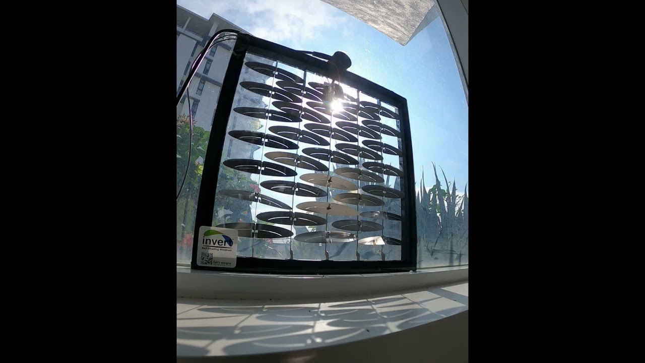 InVert glazing. Morning, 6 Aug 2024