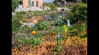 Feng Shui im Garten  Gestalten einer WohlfühlOase