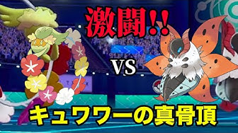 キュワワー Youtube