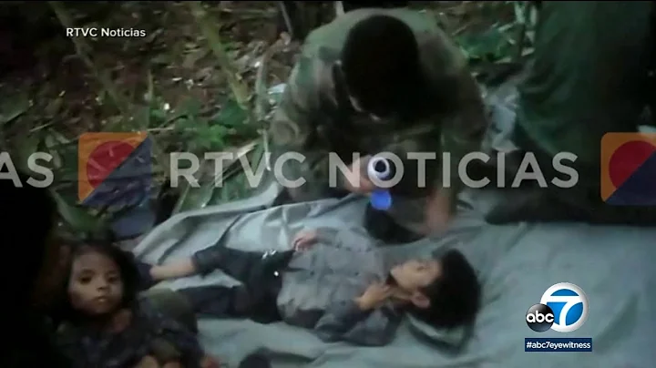 Colombia plane crash: Details emerge on how 4 children survived in jungle