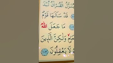 سورة المائدة الأية 103 القارئ سعد الغامدي