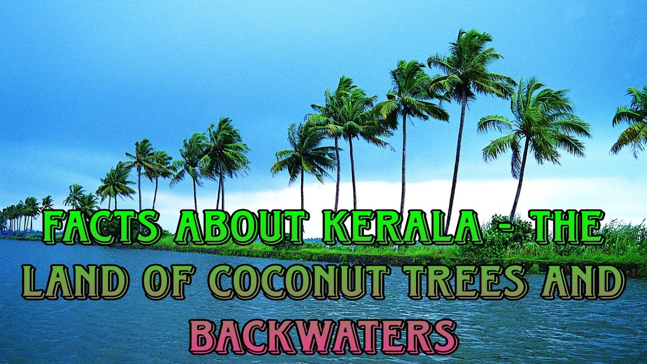 FACTS ABOUT KERALA THE LAND OF COCONUT TREES AND BACKWATERS YouTube