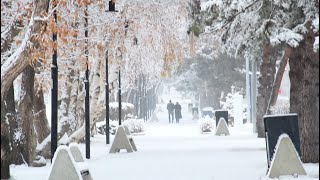 Atatürk Üniversitesi Kampüsü - Kar Yağışı Aralık 2020