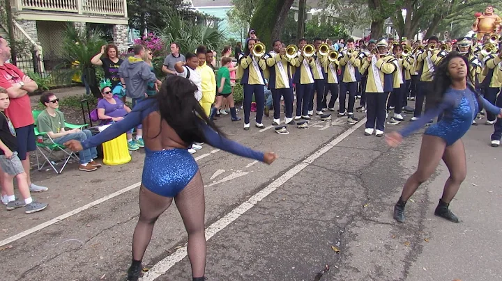 Stillman College Blue Pride Dancers | Battle vs Kentucky State | 2019 | Krewe Tucks Parade |