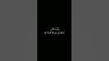 سورة النصر: القارئ سعد الغامدي