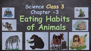 Eating Habits of Animals || Class 3, Science Chapter 3 ||  Science Lesson 3 Questions & Answers