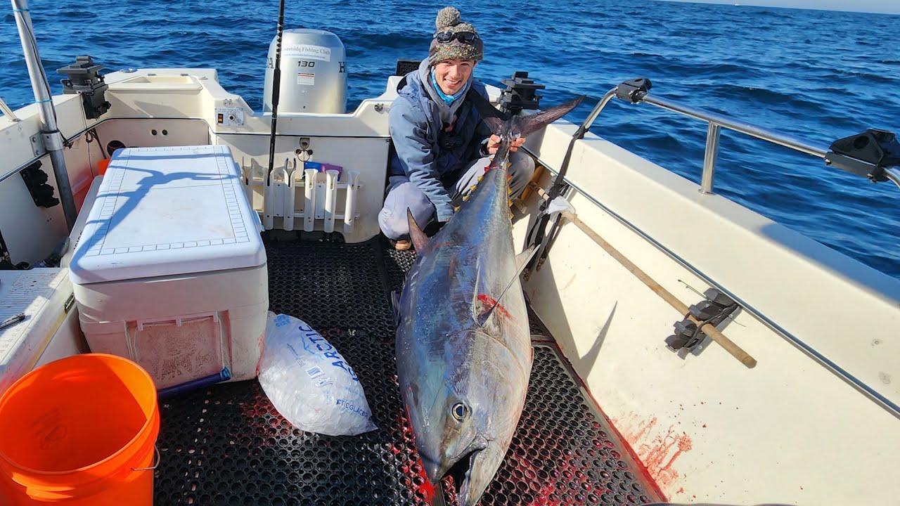 HUGE BAY AREA BLUEFIN TUNA (Epic Bucket List Fishing Experience