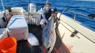 HUGE BAY AREA BLUEFIN TUNA (Epic Bucket List Fishing Experience)