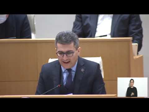 გავრილოვი-მელიას  20 ივნისის დესტაბილიზაციის გეგმა ჩავარდა - მამუკა მდინარაძე