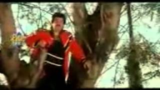 YouTube - EK MERI GALI KI LARKI My gali si shital ladki