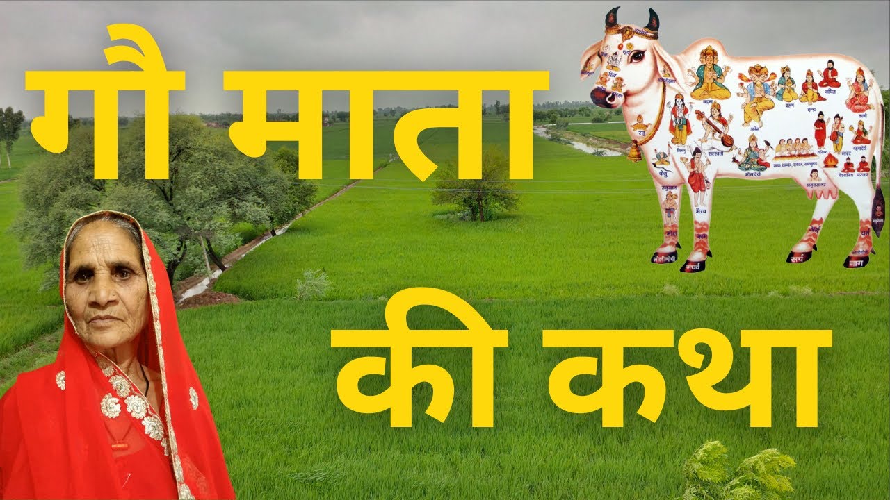 Cow Mata Ki Katha   Cow Mata Ki Katha Story of Mother Cow in Rajasthani Language Jijis stories