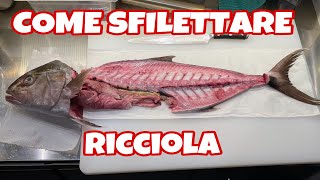 Detailed HOW TO FILLET HAMACHI WITHOUT TOO MUCH BLOODY Information