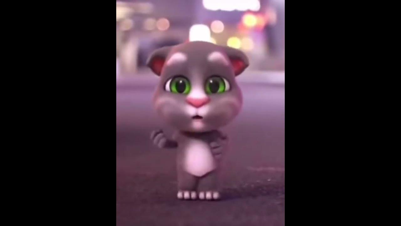 Kucing joged lucu aku sayang kamu sayang