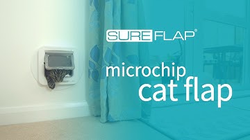 SureFlap Microchip Cat Flap Overview 2011
