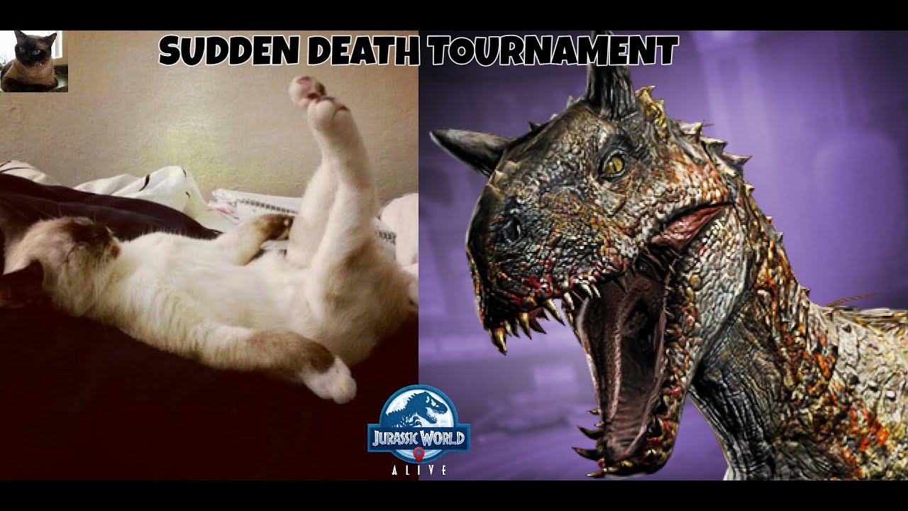 SUDDEN DEATH TOURNAMENT!! Practicekat Tries to Survive! 🐱‍👤 (JURASSIC WORLD ALIVE)