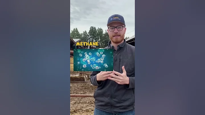 Feed Additives Helping Reduce Methane Emissions in Livestock Like Cattle