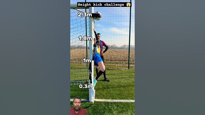 Height Kick Challenge 2.3m 😱📏