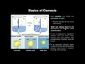 Anatomy and Physiology: Cell Transport Quiz