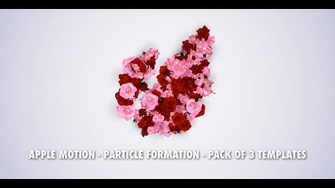 Particle Logo & Title Formation - Apple Motion Template