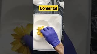 PRESERVANDO FLORES CON GEL DE SILICE PARA RESINA EPOXI PARTE 2 #shorts