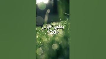 قرآن كريم للشيخ للقارئ شريف مصطفي (قال رب اشرح لي صدري )💖💖 #حالات_الواتس_اب #القرآن_الكريم #share