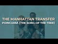 Miniature de la vidéo de la chanson Poinciana (The Song Of The Tree)