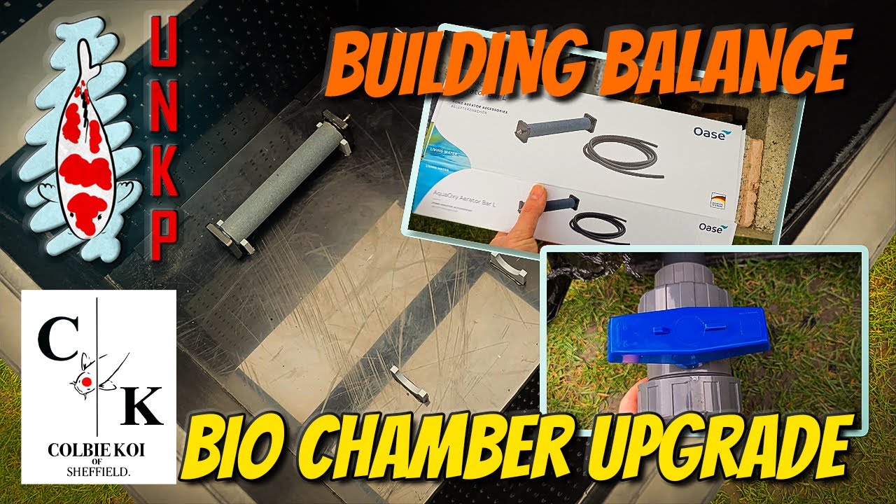 KOI POND Bio Filter Build - The Silent Workhorse