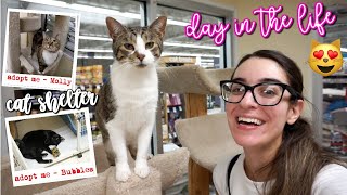 WHAT IT'S REALLY LIKE TO VOLUNTEER AT A CAT SHELTER! VLOGMAS 2019 | MORNING IN MY LIFE